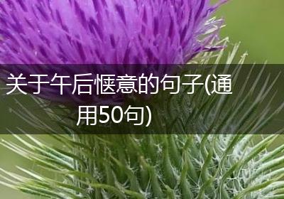 关于午后惬意的句子(通用50句)