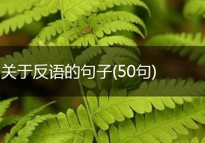 关于反语的句子(50句)