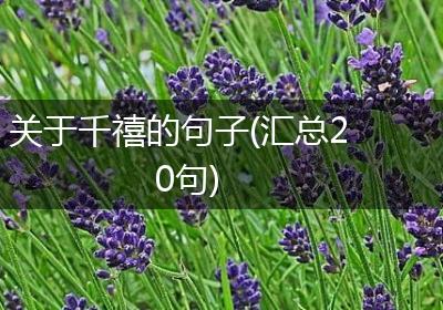 关于千禧的句子(汇总20句)