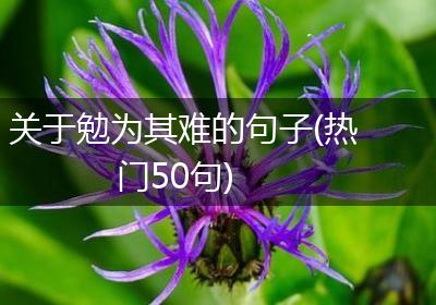 关于勉为其难的句子(热门50句)