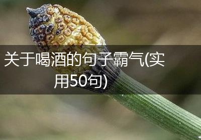 关于喝酒的句子霸气(实用50句)