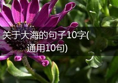 关于大海的句子10字(通用10句)