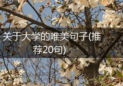 关于大学的唯美句子(推荐20句)