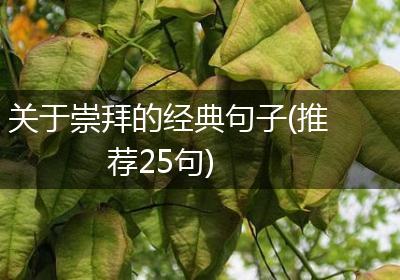 关于崇拜的经典句子(推荐25句)