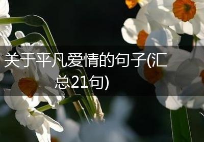 关于平凡爱情的句子(汇总21句)