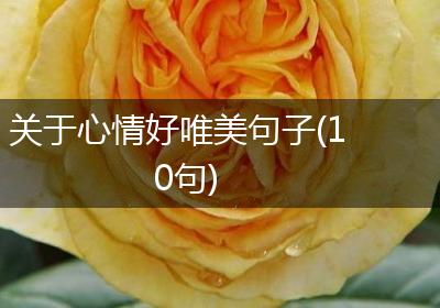 关于心情好唯美句子(10句)