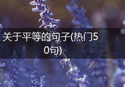 关于平等的句子(热门50句)