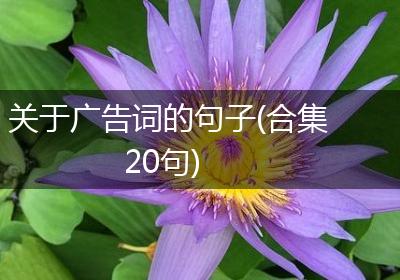 关于广告词的句子(合集20句)