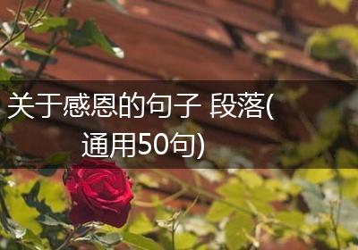 关于感恩的句子 段落(通用50句)