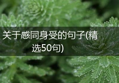 关于感同身受的句子(精选50句)