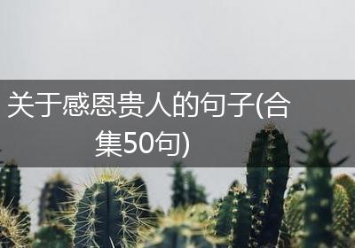关于感恩贵人的句子(合集50句)