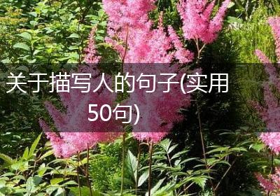 关于描写人的句子(实用50句)