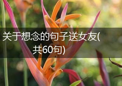 关于想念的句子送女友(共60句)