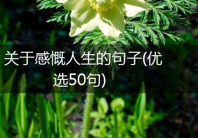 关于感慨人生的句子(优选50句)