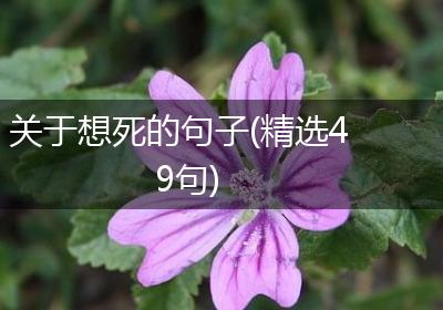 关于想死的句子(精选49句)