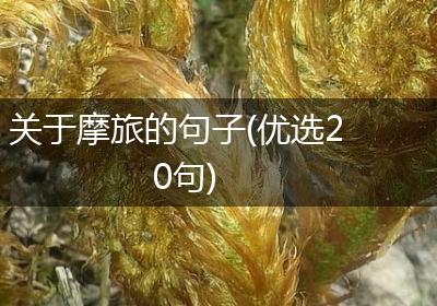 关于摩旅的句子(优选20句)