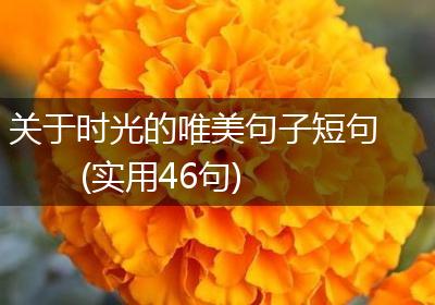 关于时光的唯美句子短句(实用46句)