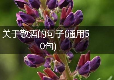 关于敬酒的句子(通用50句)