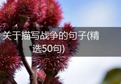 关于描写战争的句子(精选50句)