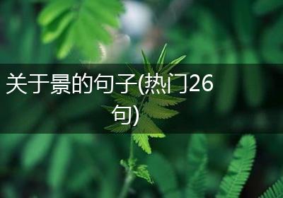 关于景的句子(热门26句)