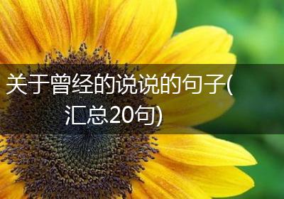 关于曾经的说说的句子(汇总20句)