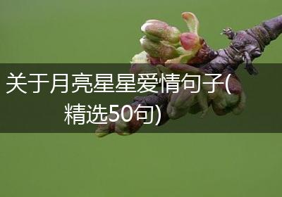 关于月亮星星爱情句子(精选50句)