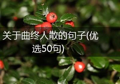 关于曲终人散的句子(优选50句)