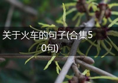 关于火车的句子(合集50句)