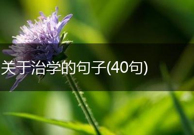 关于治学的句子(40句)