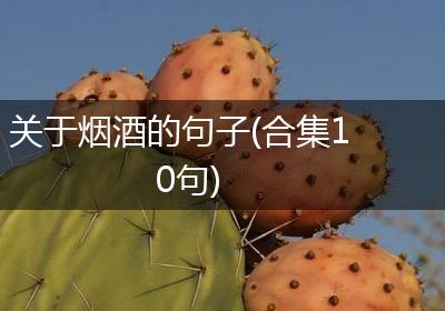 关于烟酒的句子(合集10句)