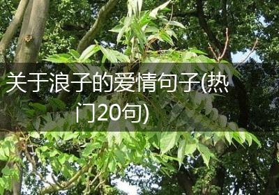 关于浪子的爱情句子(热门20句)