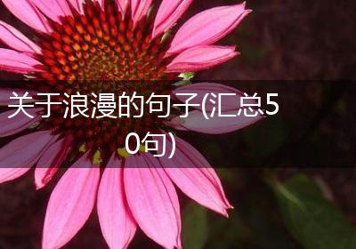 关于浪漫的句子(汇总50句)