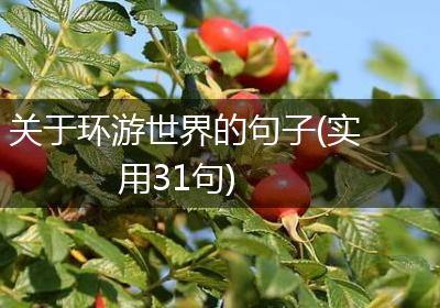 关于环游世界的句子(实用31句)