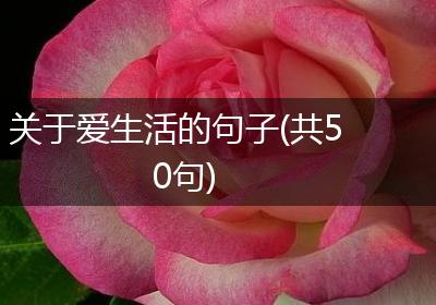 关于爱生活的句子(共50句)