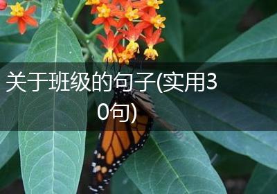 关于班级的句子(实用30句)