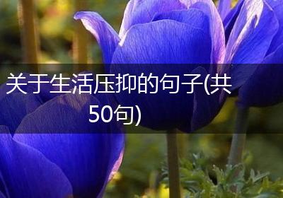 关于生活压抑的句子(共50句)
