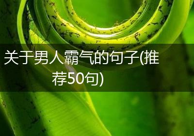 关于男人霸气的句子(推荐50句)