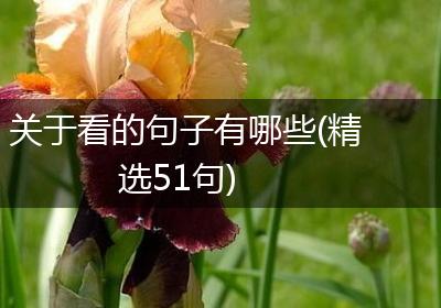 关于看的句子有哪些(精选51句)