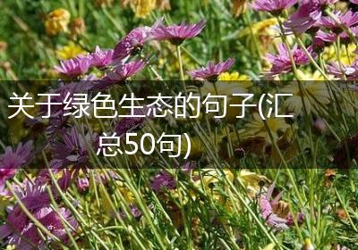 关于绿色生态的句子(汇总50句)