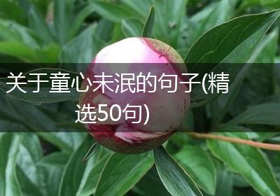 关于童心未泯的句子(精选50句)