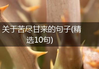 关于苦尽甘来的句子(精选10句)