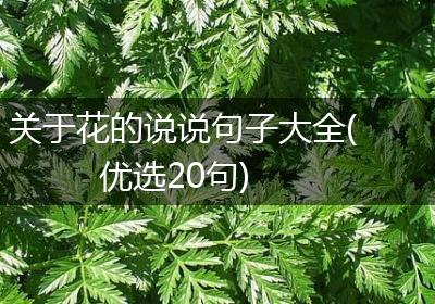 关于花的说说句子大全(优选20句)