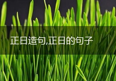 正日造句,正日的句子