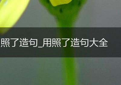 照了造句_用照了造句大全
