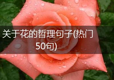 关于花的哲理句子(热门50句)