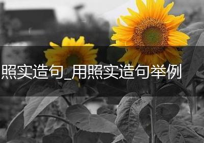 照实造句_用照实造句举例