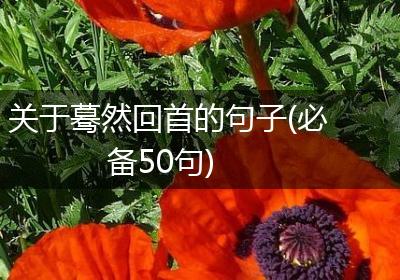 关于蓦然回首的句子(必备50句)