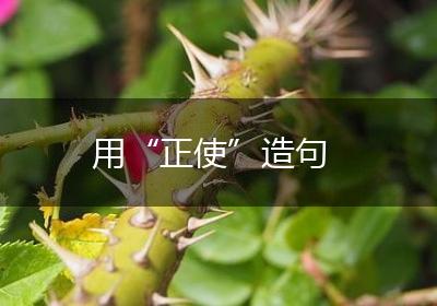 用“正使”造句