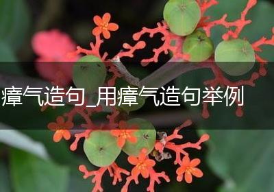 瘴气造句_用瘴气造句举例