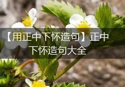 【用正中下怀造句】正中下怀造句大全